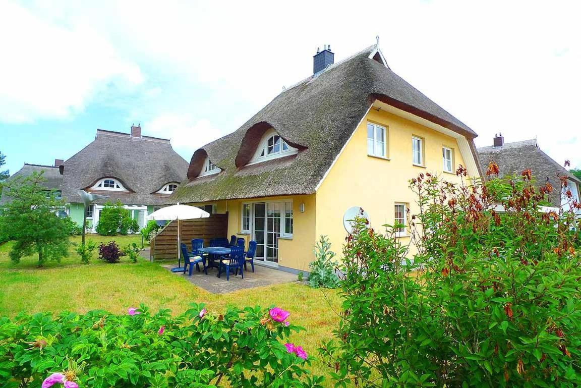 Ferienhaus An Der Alten Waldschaenke Ws-11A Born Luaran gambar
